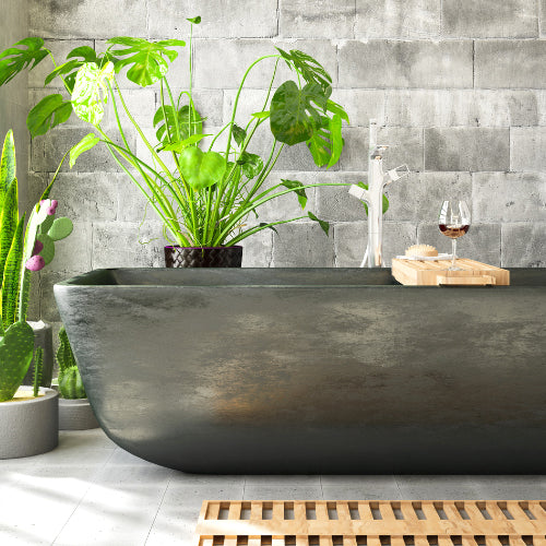 4 Tips for Bringing Natural Elements Inside Your Home: How to Pair Plants With Finishes