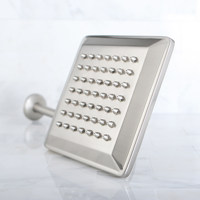 Showerhead Worth Fighting For, K408A8CK