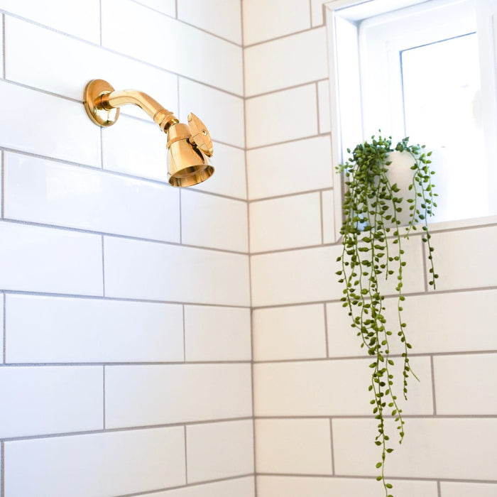 How to Upgrade a Basic Shower Faucet