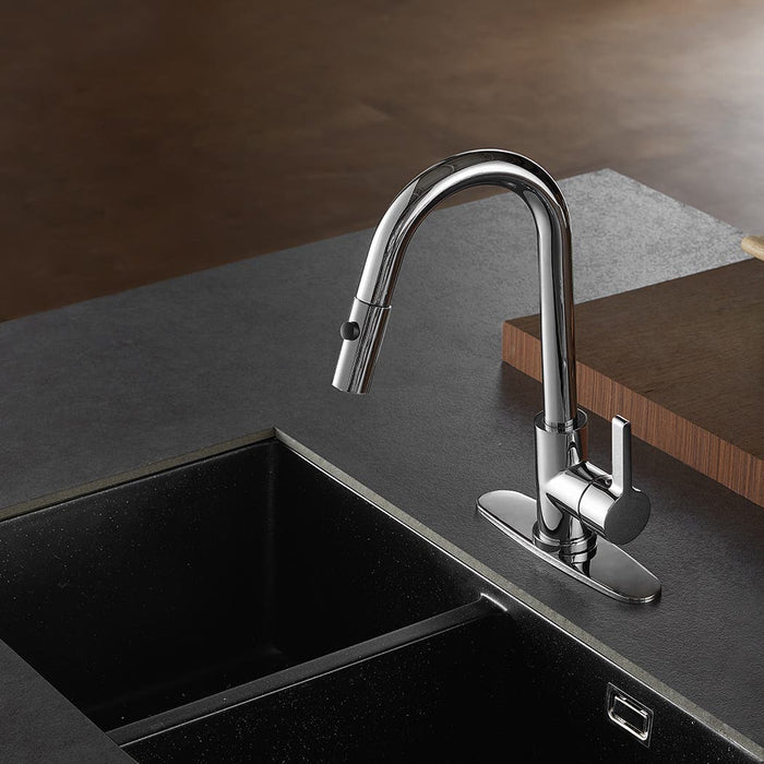 Kitchen Faucet 411 #5: Pull-Down Kitchen Faucets