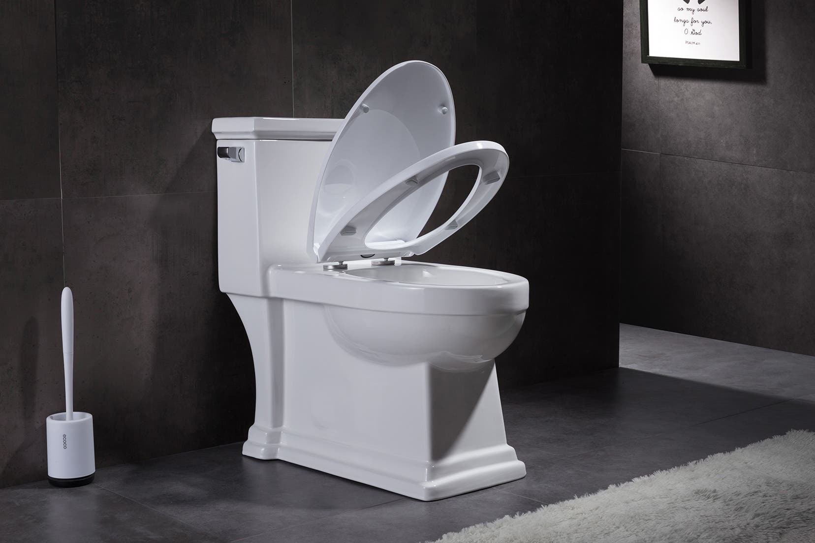 Toilets and Accessories Lookbook - August 2020