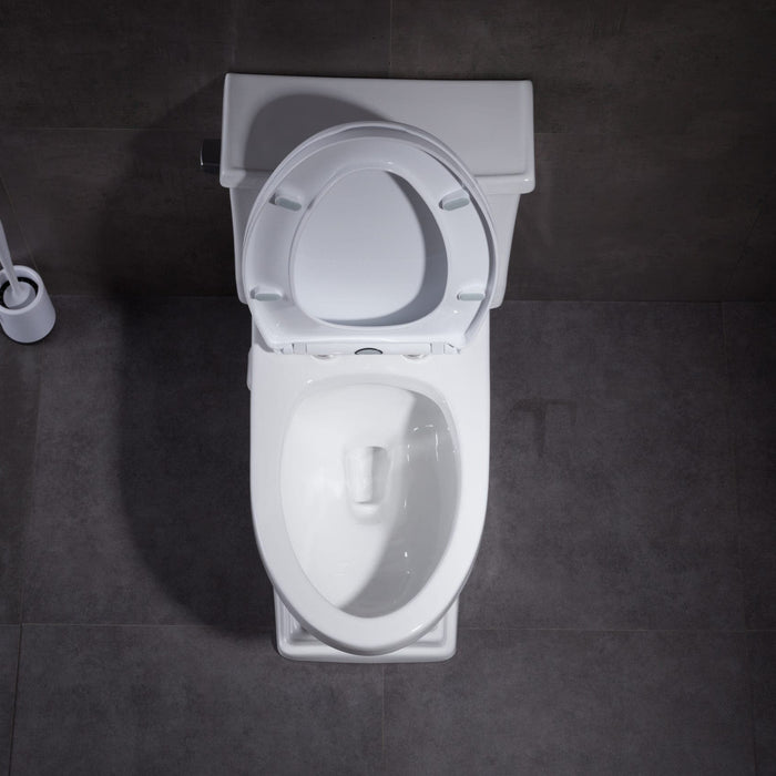 The History of the Toilet