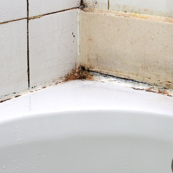 Easy Ways to Get Rid of Black Mold in the Shower