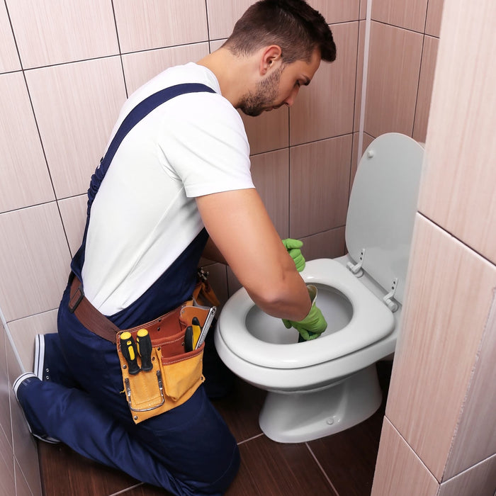 Clogged Toilets: The Most Common Plumbing Nightmare and How to Avoid it
