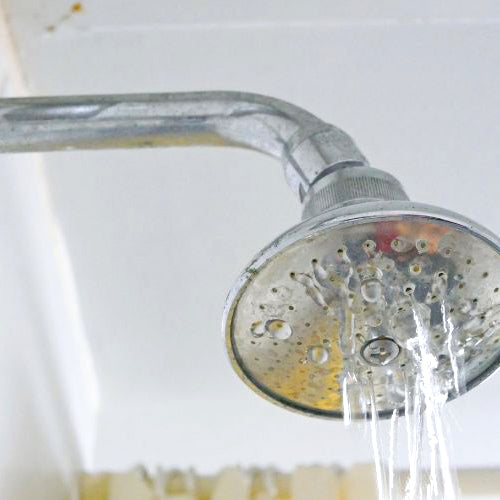 How to Clean Your Showerhead