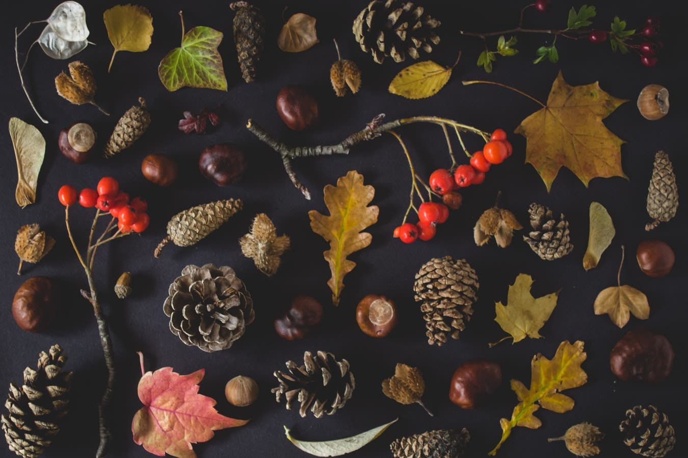 Fall Decor Ideas for the Kitchen