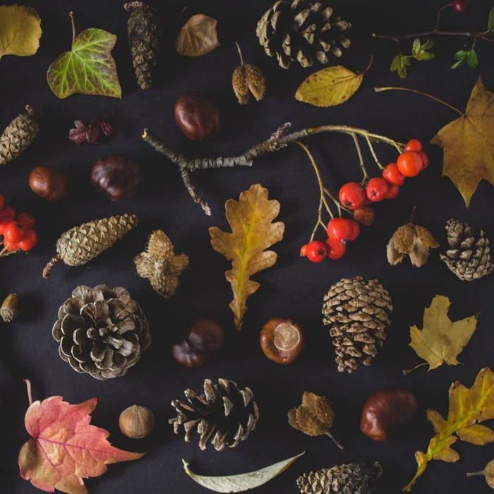 Fall Decor Ideas for the Kitchen