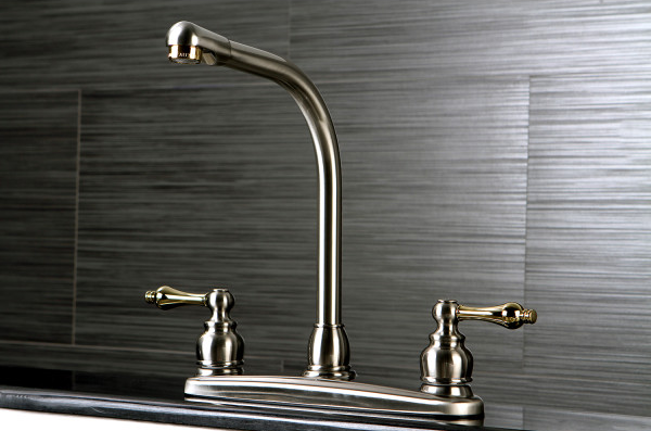 Top 5 Dual Tone Kitchen Faucets