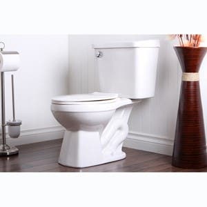 How to choose the perfect toilet