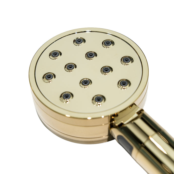 Kingston Shower Scape K310F2 2-Function Filtered Hand Shower, Polished Brass