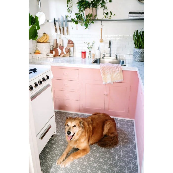 Restoration KB3748PX Two-Handle 3-Hole 8" Centerset Kitchen Faucet, Brushed Nickel