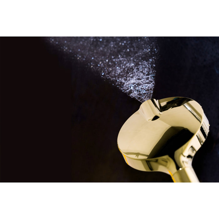 Kingston Regal KXH635A2 6-Function Hand Shower with Power Wash, Polished Brass