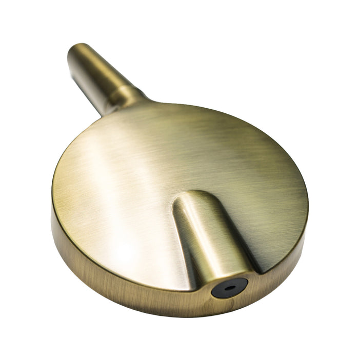 Kingston Regal KXH635A3 6-Function Hand Shower with Power Wash, Antique Brass