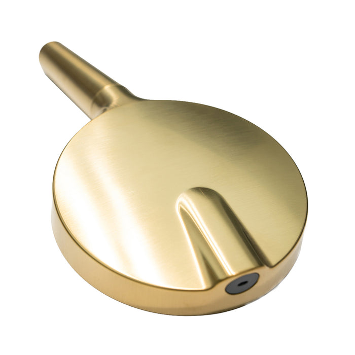 Kingston Regal KXH635A7 6-Function Hand Shower with Power Wash, Brushed Brass