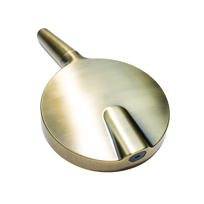 Kingston Regal KXH636A3 6-Function Hand Shower with Power Wash, Antique Brass