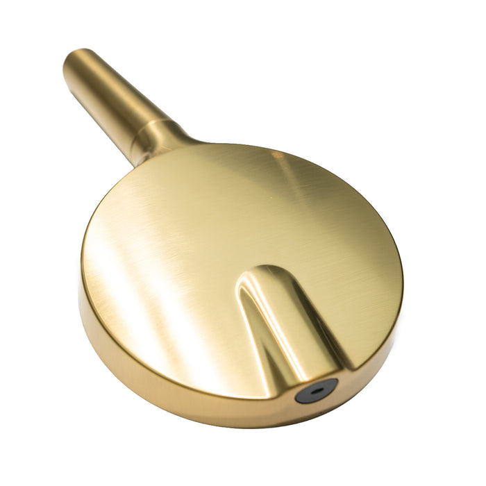 Kingston Regal KXH636A7 6-Function Hand Shower with Power Wash, Brushed Brass