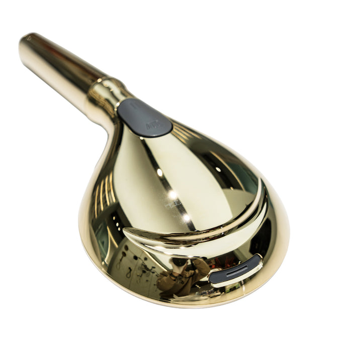 Kingston Regal KXH935A2 9-Function Hand Shower with Power Wash, Polished Brass