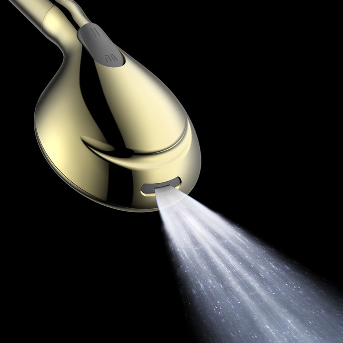 Kingston Regal KXH936A2 9-Function Hand Shower with Power Wash, Polished Brass